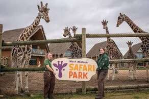 West Midlands Safari Park