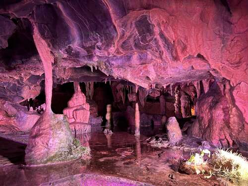 CHEDDAR GORGE & CAVES