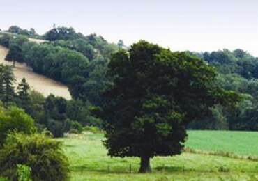 Vaulted Double En-suite Room (inc. Breakfast)