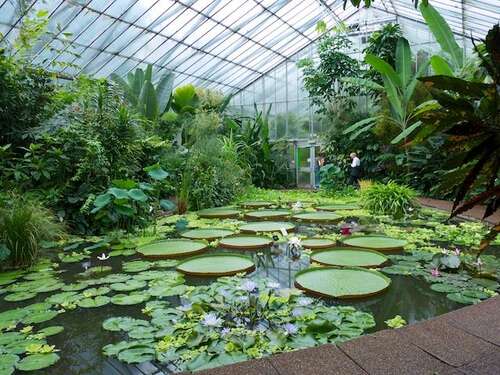 Royal Botanic Garden