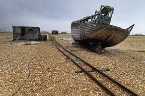 Dungeness