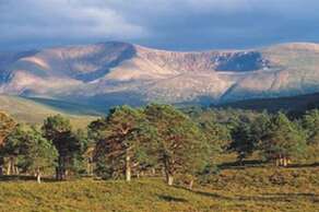 Visit the beautiful Cairngorms