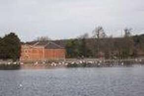 Rufford Abbey Country Park