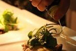 The Elm Tree Inn at Elmton